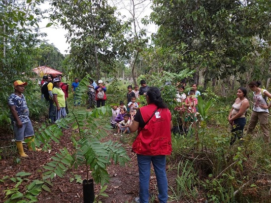 Actividades de la Red Forestal Anticorrupción Loreto Actividades de la Red Forestal Anticorrupción Loreto