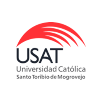 Universidad Católica Santo Toribio de MogrovejoFINAL Universidad Católica Santo Toribio de MogrovejoFINAL